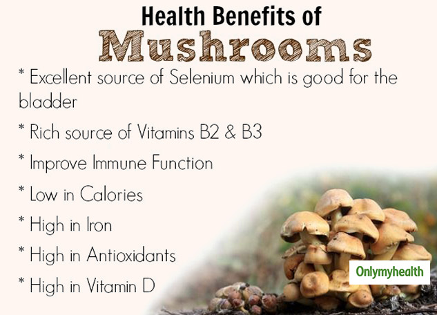 Benefits of Mushrooms During Pregnancy