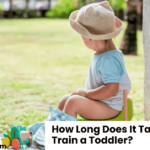 How Long Does It Take to Potty Train a Toddler