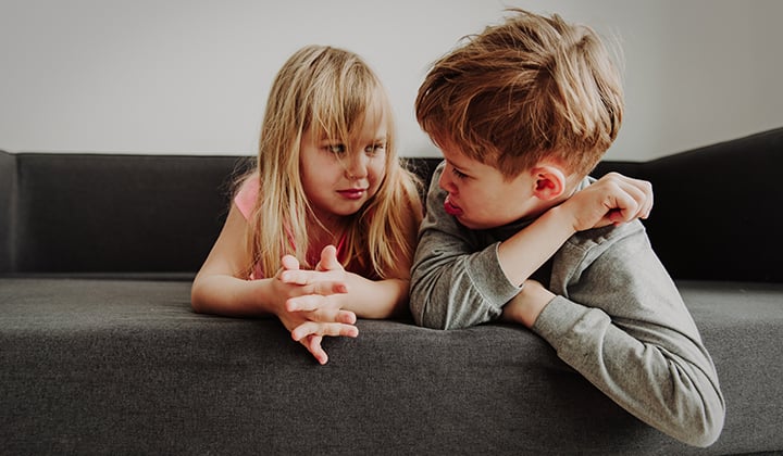 Why Do Siblings Fight Understanding the Root Cause