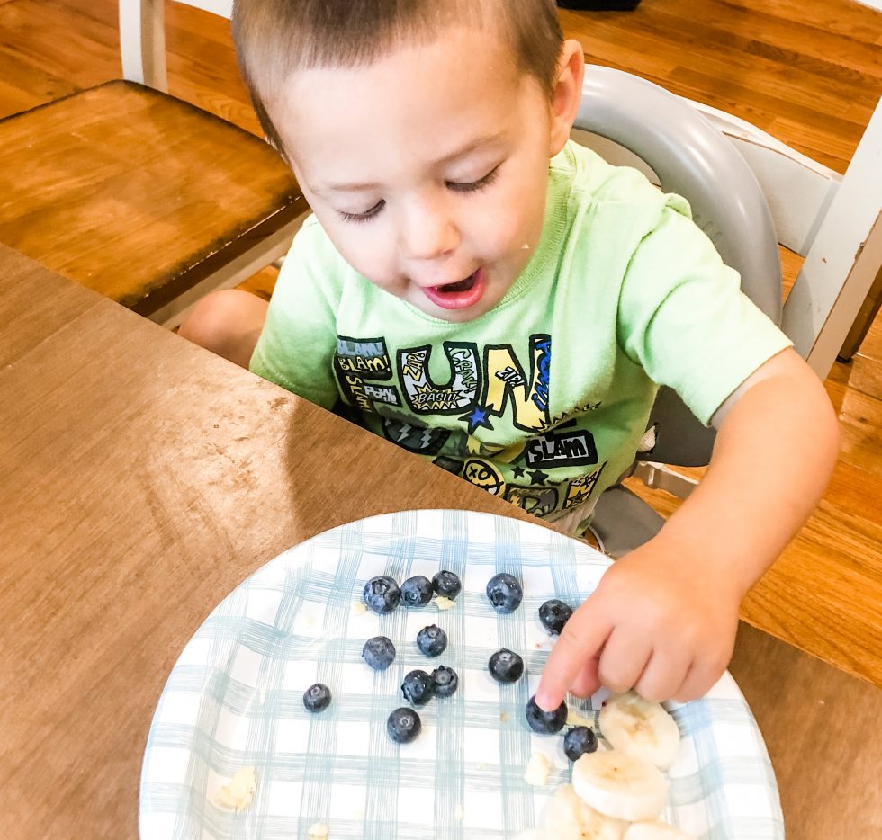 Easy Toddler Counting with Everyday Items