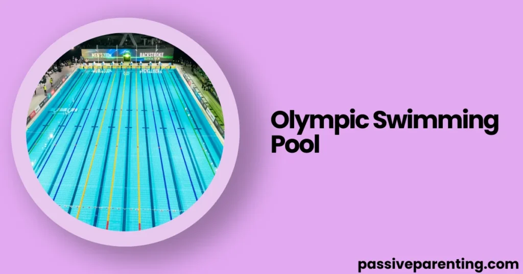 How Long Is 100 Feet? Clear Examples & Visual Guide Olympic Swimming Pool