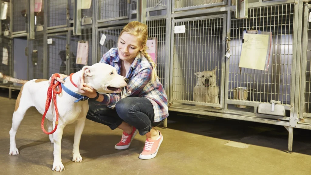 Jobs for People with Anxiety: Find the Right Fit Animal Caretaker-jobs for people with anxiety