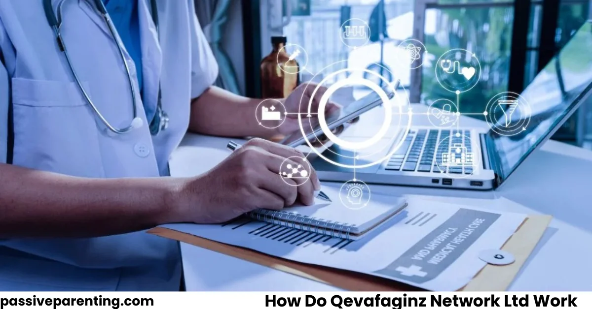 How Do Qevafaginz Network Ltd Work A Detailed Overview