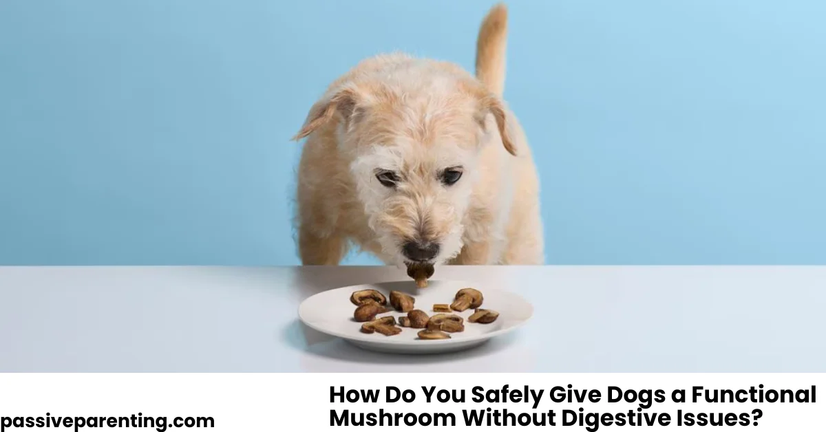 How Do You Safely Give Dogs a Functional Mushroom Without Digestive Issues