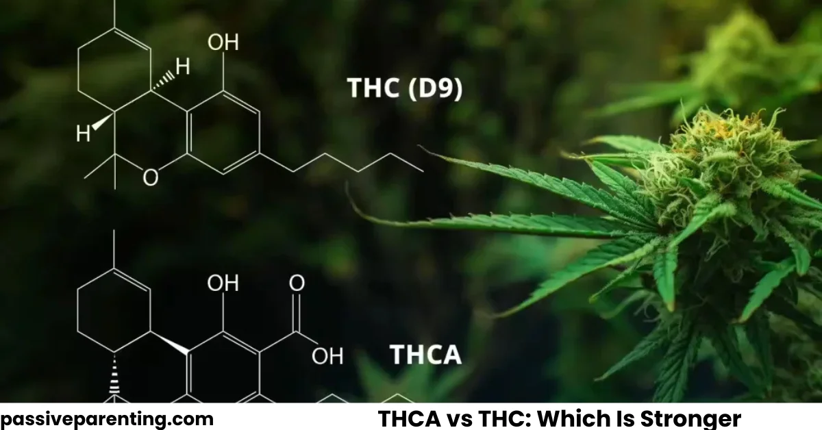 THCA vs THC Which Is Stronger and Why It Matters
